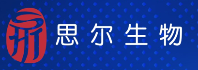 ˼